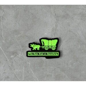 18 Oregon Trail | From the 1900s | Died from Dysentery | Sarcastic Pins